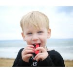 ARK'S Brick Stick™ Chew Necklace RED