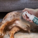 DEW FIRST AID SPRAY FOR PETS 250ML - Image 5